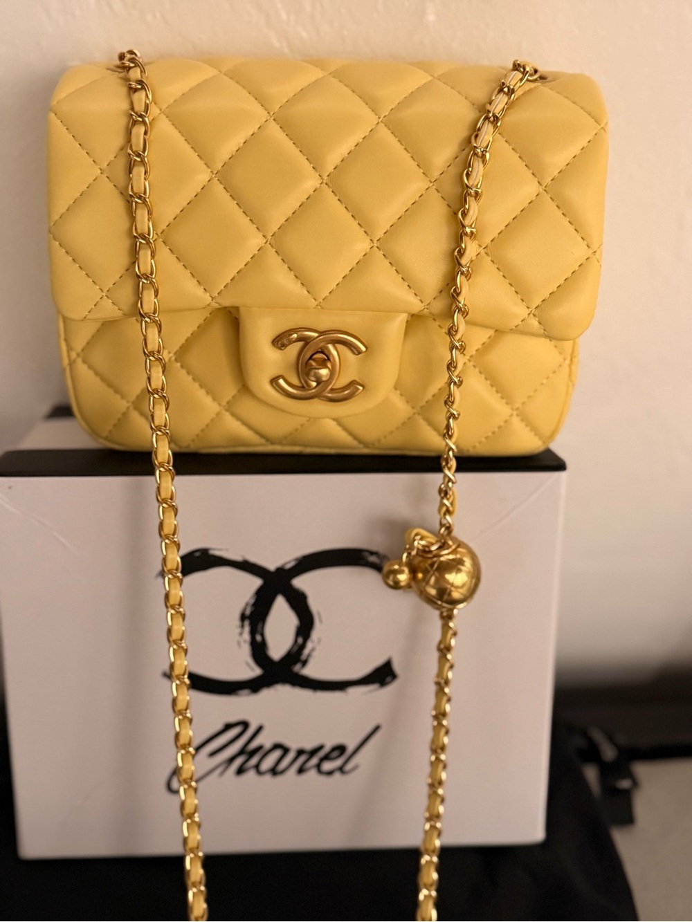 MINI LUXURY BAG - Picture 10 of 16